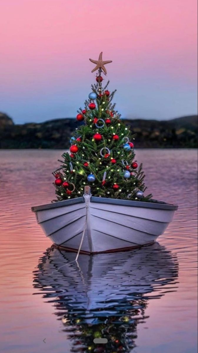 Susanna03447691's tweet photo. Il giusto compromesso 
per chi pensa già a Natale 
e chi vive ancora il mare 🤚 https://t.co/jvvgqwSchm