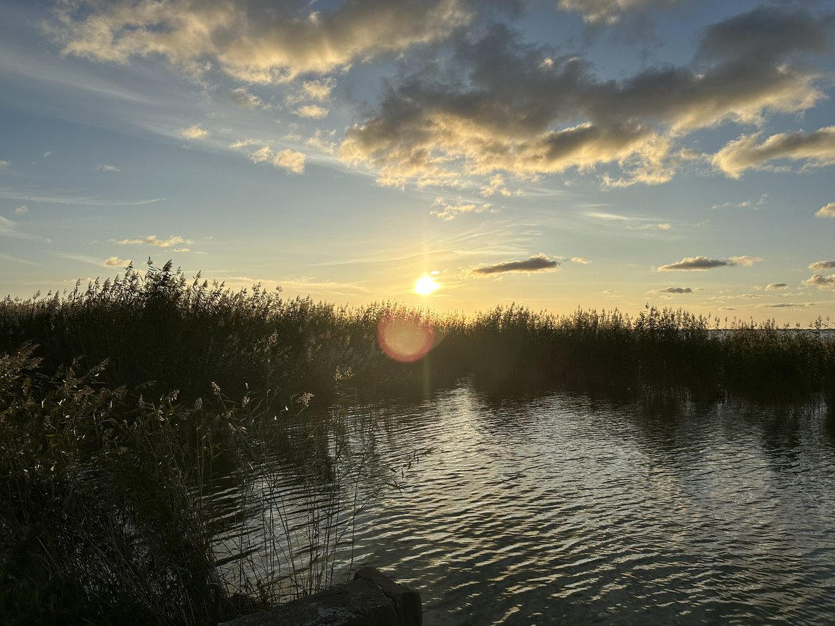 BenjaminMisteli's tweet photo. Great first sampling campaign for @RESTORE4Cs this week. Proud of what we achived! Never easy to start fieldwork for a new project, in a site never visited before, with people never working together before, hit by heavy storms mid week, but we did it! Next stop Danub Delta 🇷🇴 https://t.co/ZX2zgXFyRv