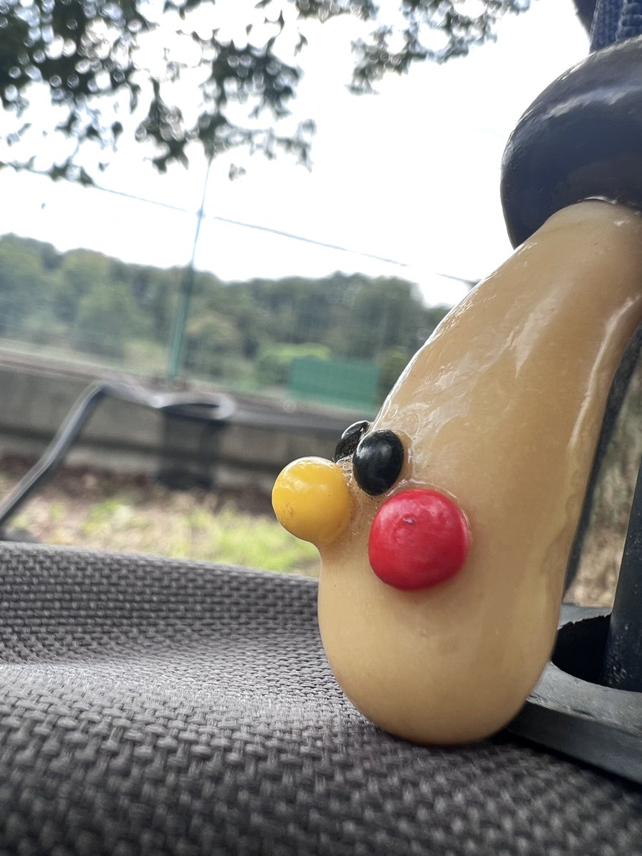 mokomomo's tweet photo. 追いきのこ https://t.co/pZ76uKn0bO