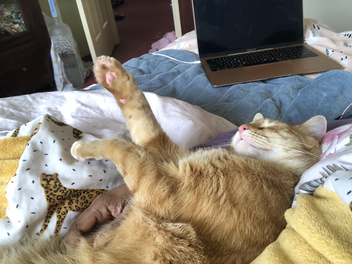 Perfectly comfortable