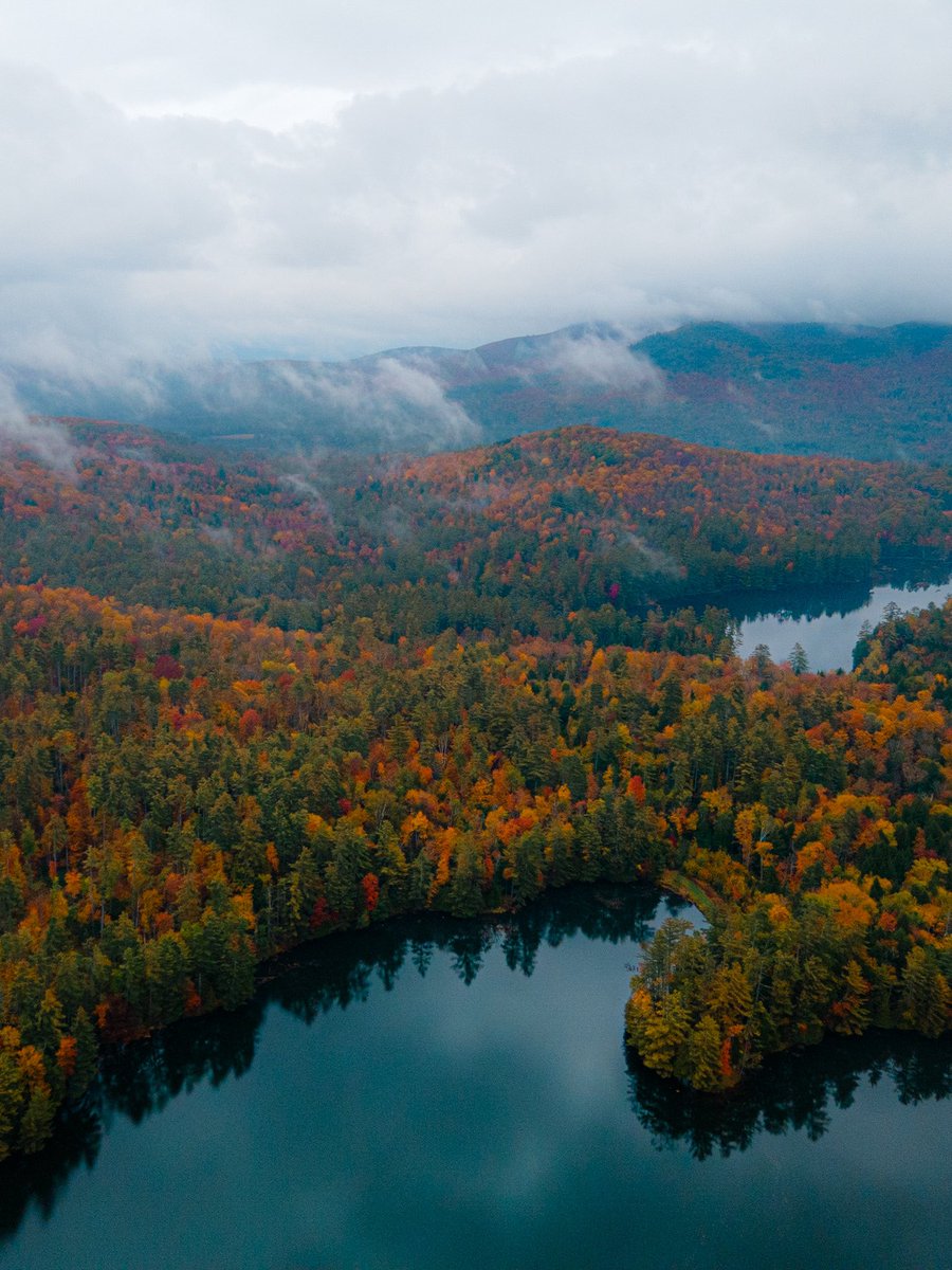 nev_in_color's tweet photo. GM. 

Currently 🍂 https://t.co/ncbbRTskeD