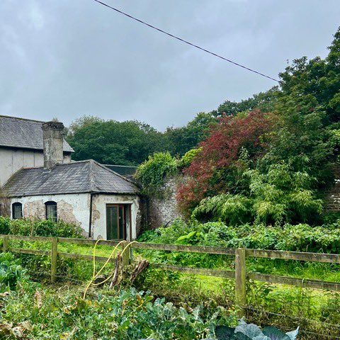 Experiment 637 tweet media