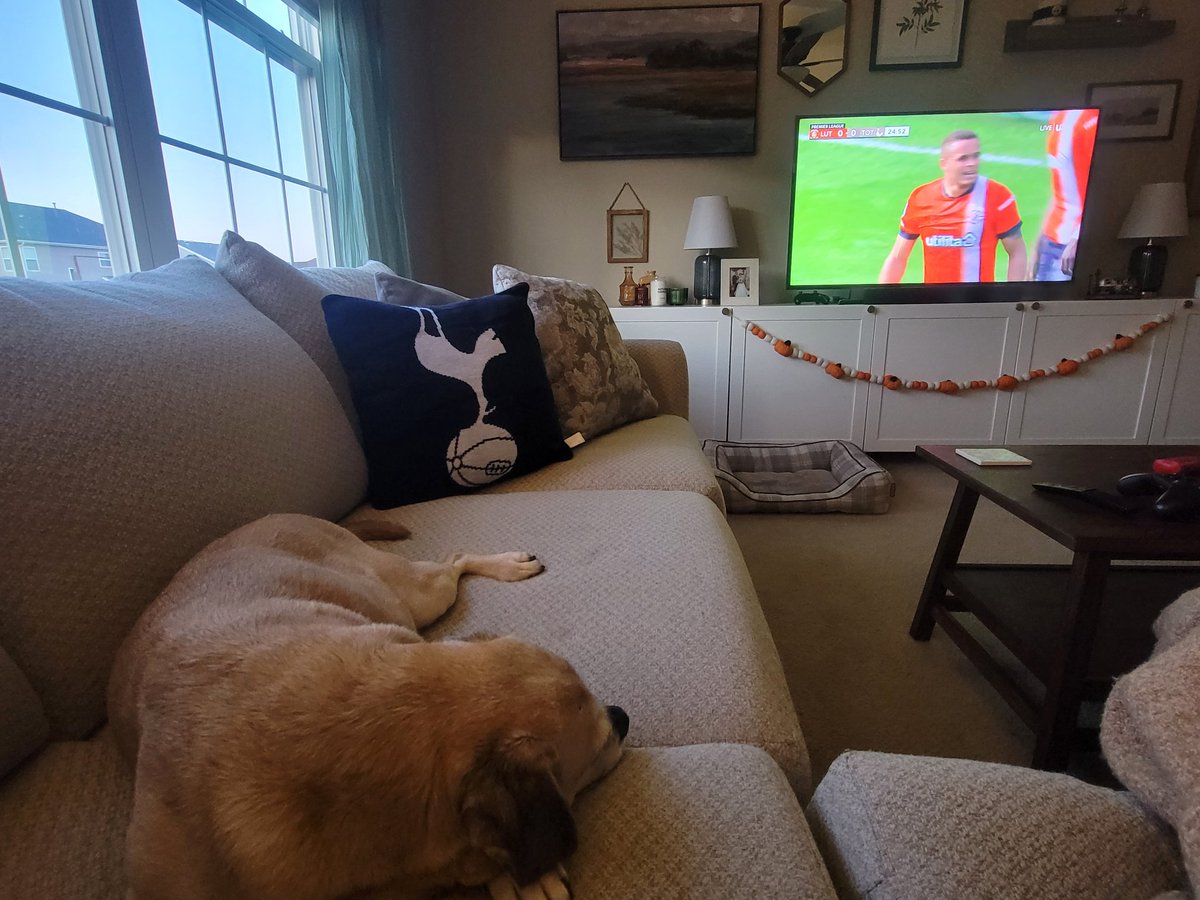 redbirdpatch's tweet photo. Come on you Spurs! #MyPLMorning #COYS https://t.co/uFXmb0oWwe