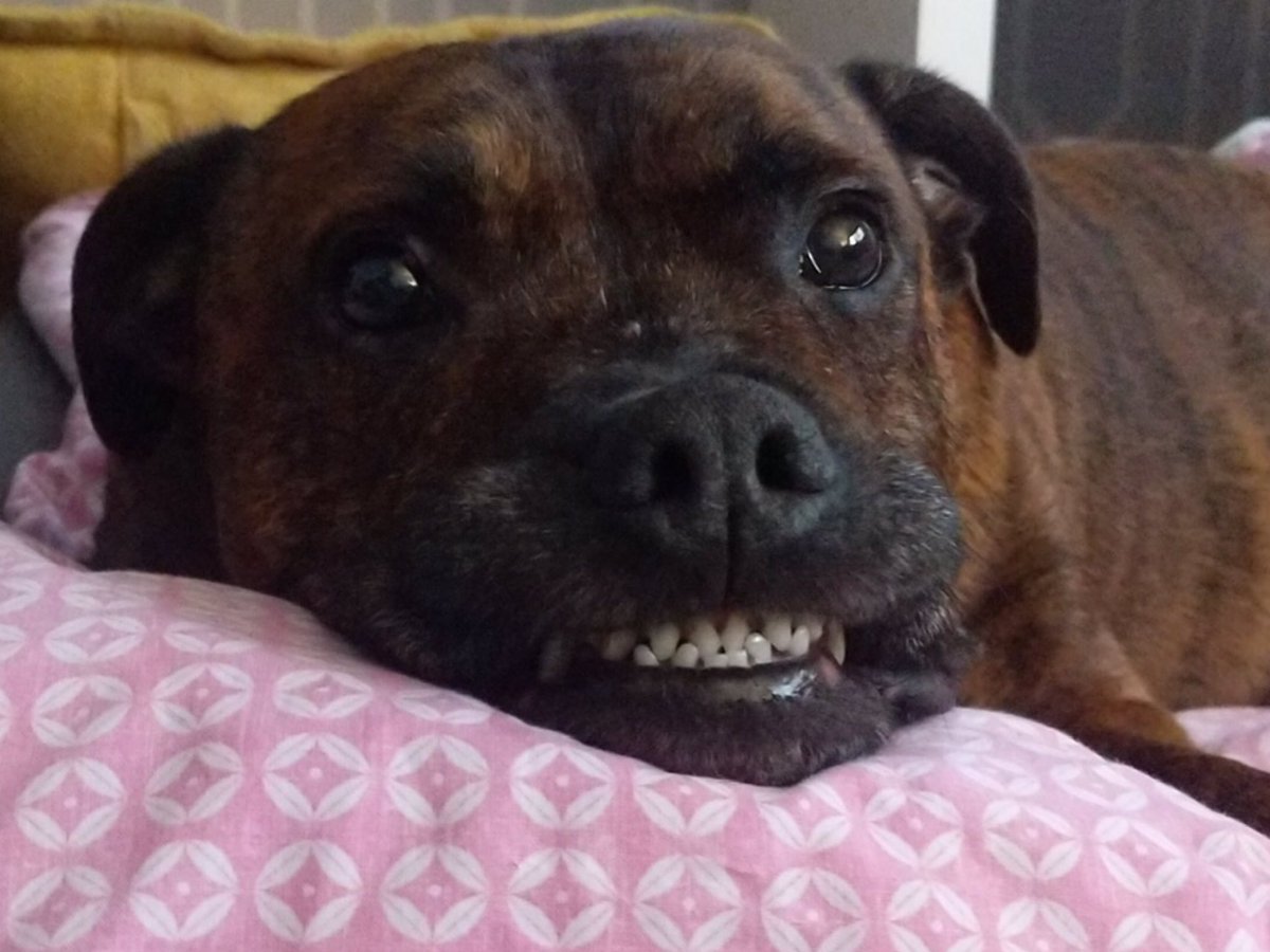 We’re leaving! We’ve had a wonderful 10 years! We’ll miss you all terribly. We’re taking over the Railway in West Didsbury, so pop in and see us! Love Stacy, Mark and Mr. Beans x