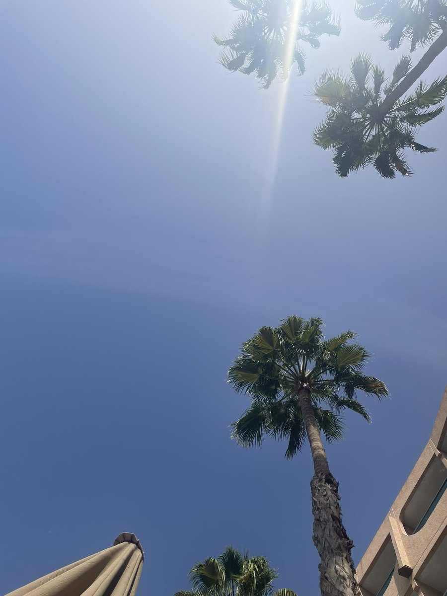 KinkGuyMCR's tweet photo. #poolday glorious ☀️ …. now what #fetish outfit to wear tonight? #pisspig #subguy #rubberboy https://t.co/WIwYqTFsyh