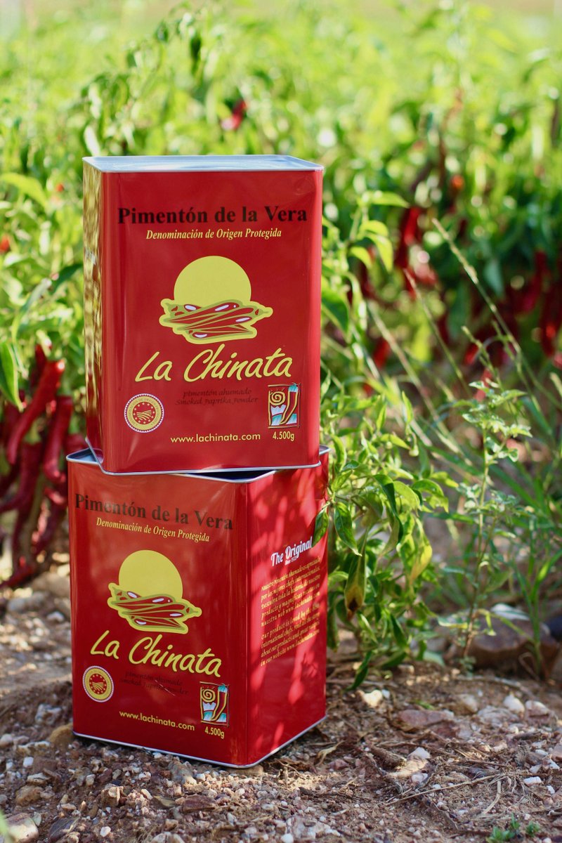lachinatacom's tweet photo. ¡Ya hemos empezado la nueva campaña de #RecogidaDePimientos en #LaVera para producir nuestro #PimentónAhumado #LaChinata!
-
We have already started the new #PepperCollection campaign in La Vera to produce our #SmokedPaprikaPowder La Chinata!
#SmokedPaprika #PimentónDeLaVera https://t.co/Sz2qeXbMZG
