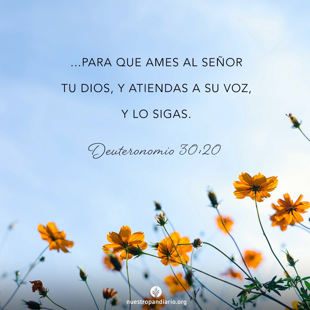 #NuestroPanDiario
