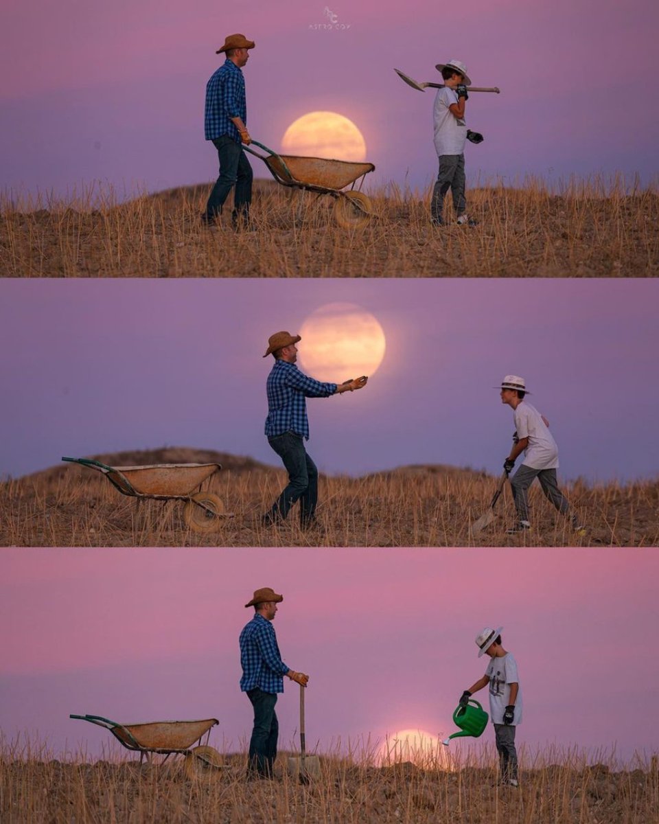 VanguardPhotoES's tweet photo. 🌕 🌾 Algunas de las mejores lunas de la Cosecha de la semana pasada.
📸 @rodillaphoto @jordi_coy  @jorgeciscar @Kike_Bustos
#lunacosecha #lunallena #fullmoon #nightphotography #vanguardworldes https://t.co/zu6ADoZOMu