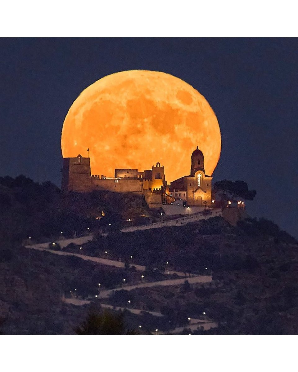 VanguardPhotoES's tweet photo. 🌕 🌾 Algunas de las mejores lunas de la Cosecha de la semana pasada.
📸 @rodillaphoto @jordi_coy  @jorgeciscar @Kike_Bustos
#lunacosecha #lunallena #fullmoon #nightphotography #vanguardworldes https://t.co/zu6ADoZOMu