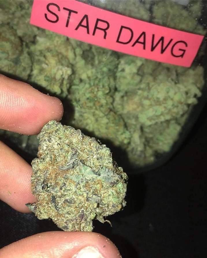 WaywardJim55742's tweet photo. #CannabisCommunity #CannabisCommunity #CannabisIsMedicine #shrooms #dmt #trippy #rickandmorty #psy #psychedelic #peyote🤔🤔 #Rickflector #Rickmas: #FanArtFriday #RickdalusAndMortarus #BentheMashupMan #jordan_persegati_art #tylerturnballart  
Original: glockswitch419 https://t.co/V4DkdW4Teh