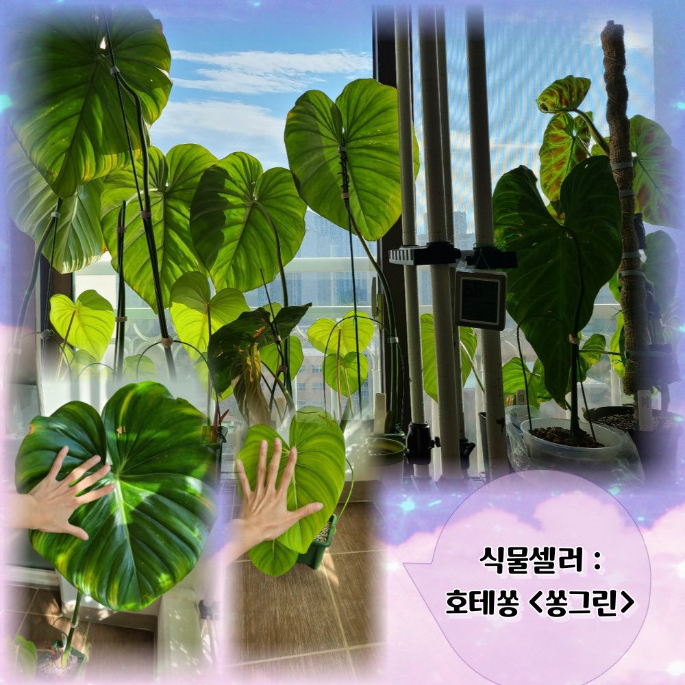 grove_pot tweet picture