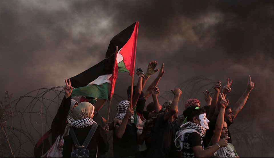 خليل الزوبع tweet media