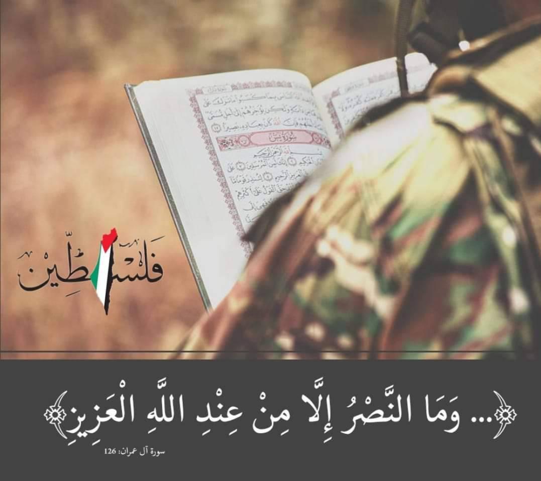 الطيب tweet media