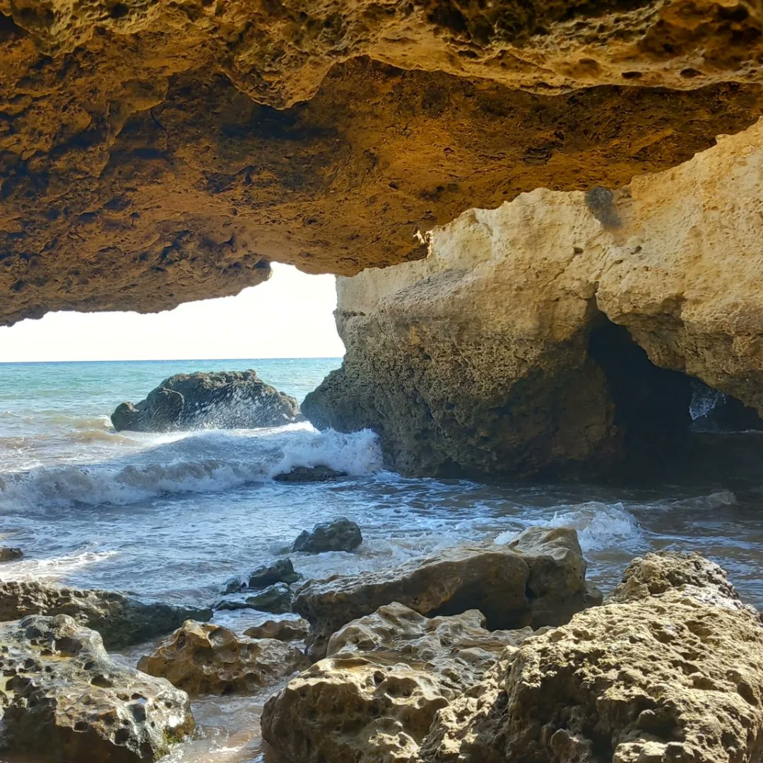 FfionRendall tweet media