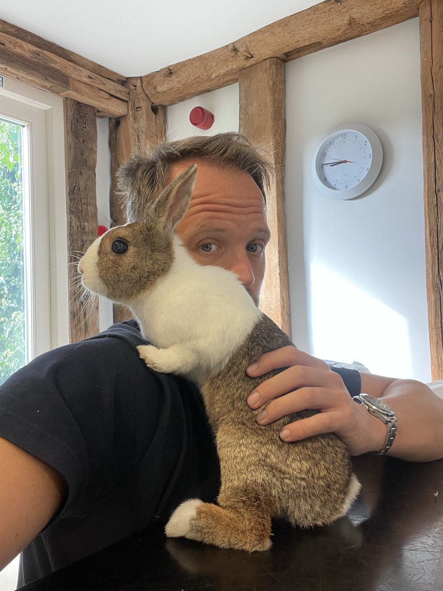WafflesWillow's tweet photo. Earlier this week, our little family got a little bit smaller but we lost a big part of it 😢 Sadly, Willow hopped over the bridge on Thursday . She was so many things but always the sweetest bunny. We miss her so much already. Sleep tight little one
 🐇🌈💔 #rabbits #bunpals https://t.co/ukxqiUayMr