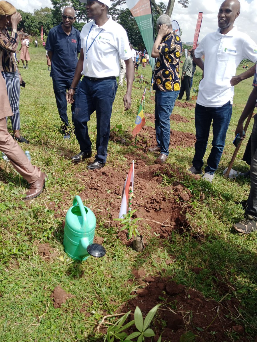 tree_adoptionug's tweet image. Kudos 👏to all who joined us in Bweya as we aim to foster the gene bank for indigenous tree species diversity in Uganda. At least 25 different species were planted. Representatives from different countries participated in the planting.
#Runningoutoftrees