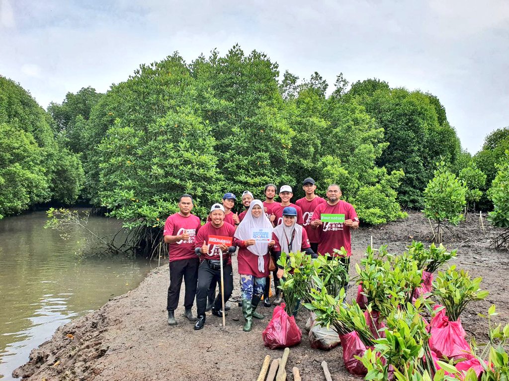 Community service done by MSU College staff and students to maintain ecosystem by planting mangrove tree. This programme is an effort to support the Sustainability Development Goals (SDG). 

Well done to all for a continuous sustainable environment ❤️

#MSUSDG 
#SDG2.0
#mybakau