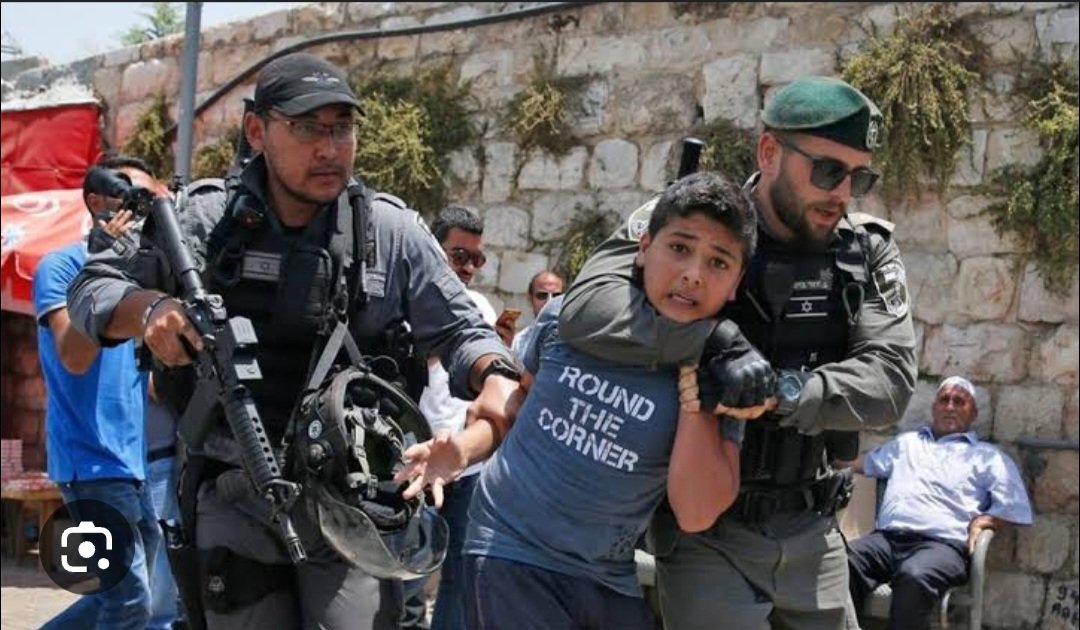 luizmuller's tweet photo. Guerra de Israel contra povo da Palestina não é de hoje.  No video, judeus cimentam poços de Água para que Palestinos não possam usar para Agricultura. Crianças Palestinas são humilhadas pelo exército  Israelense. Mas mídia se horroriza com apenas um ataque do Hamas. #FreePalestine