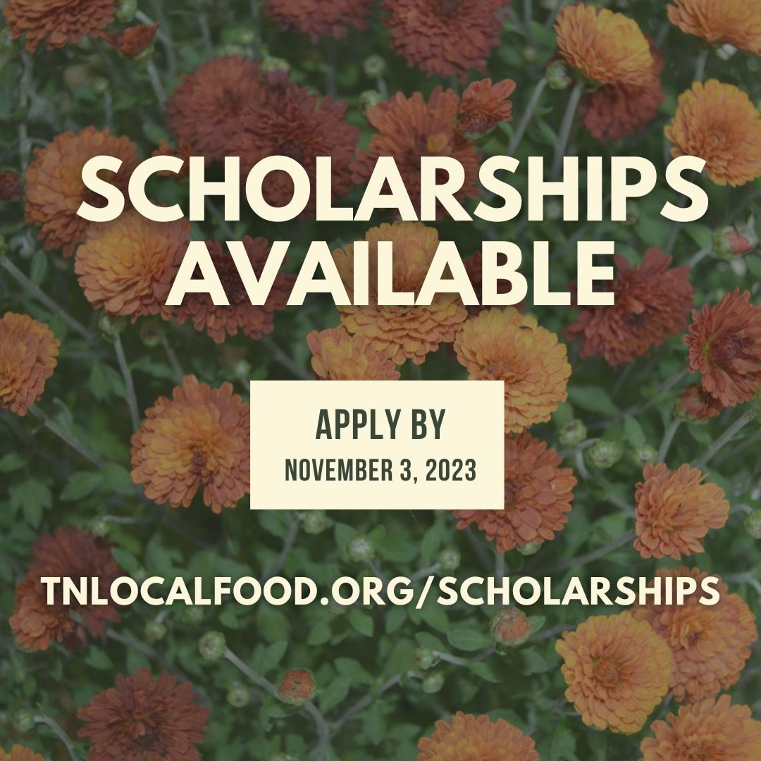 Full conference scholarships are available for growers, food system stakeholders, and people interested in creating an equitable food system. Deadline to apply is November 3, 2023. Learn more or make a donation to our scholarship fund at tnlocalfood.org/scholarships