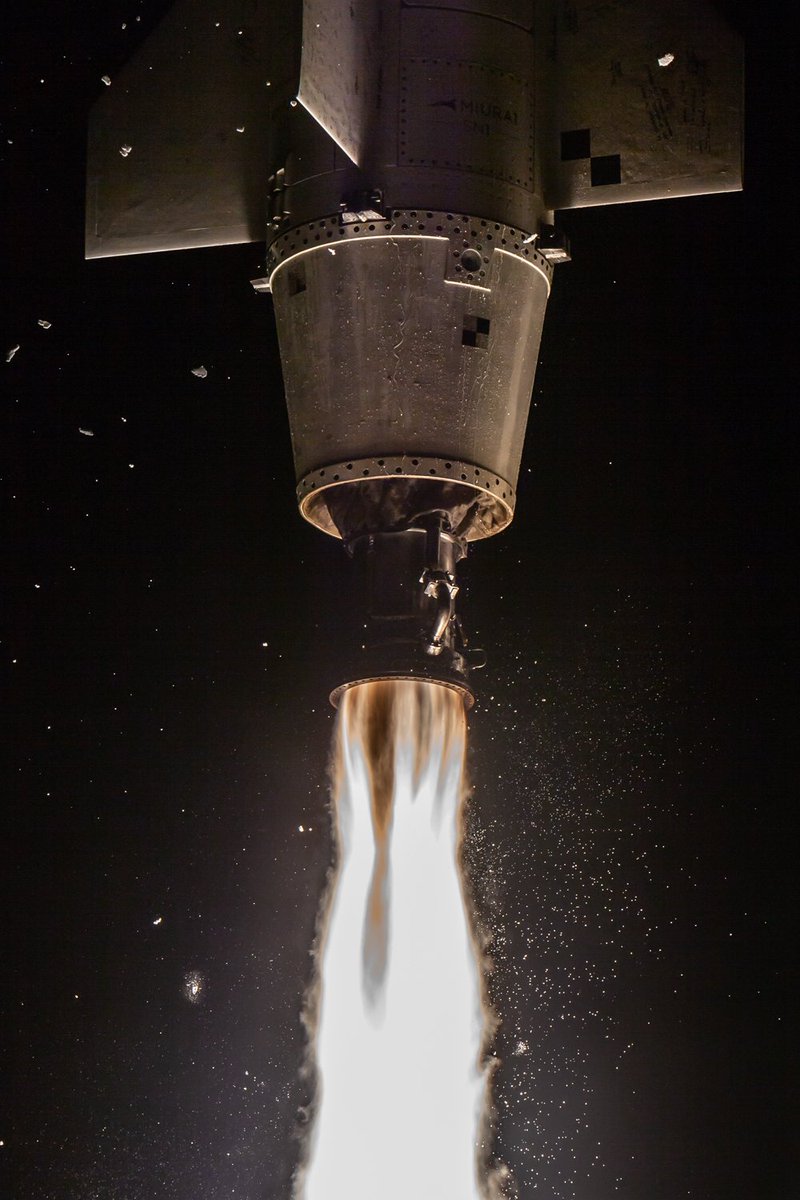 Sara Poveda Martínez tweet media