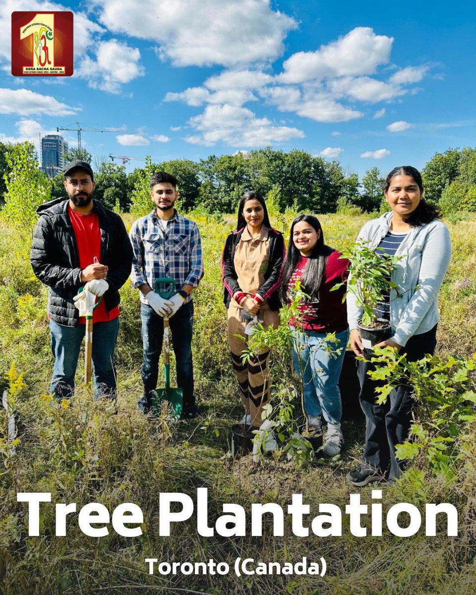 DSSNewsUpdates's tweet photo. Dera Sacha Sauda volunteers in Toronto, Canada are on a mission to make our world greener! 🌱 Their dedication and commitment to the environment is truly inspiring. Let's applaud their efforts in making our planet a better place for generations to come! #TreePlantation #DeraSachaSauda