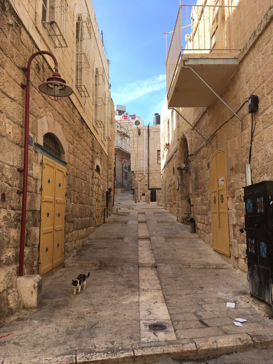 WeFartSeattle tweet media