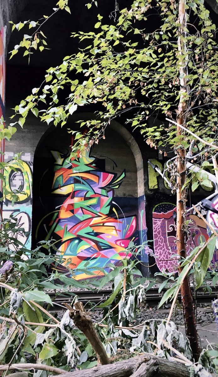 Seppow ™️💤 tweet media