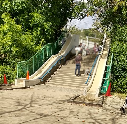 「今日は兄&amp;姪っ子ちゃん+我が家で王子動物園に行ってきたよ!動物見るのはも」|おにぎり山ちえぞー🍙のイラスト