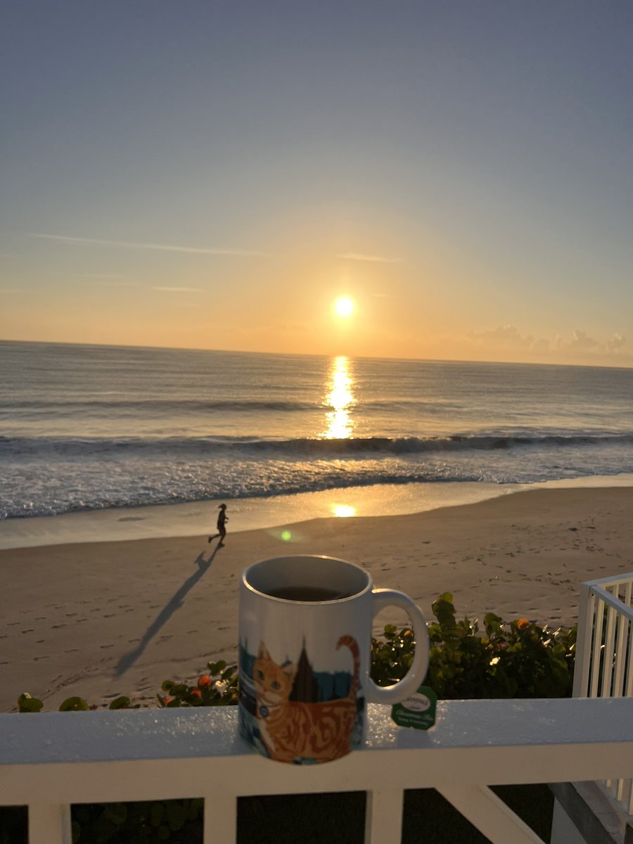 LadyR445's tweet photo. Good morning! https://t.co/VkzA8kjVLG