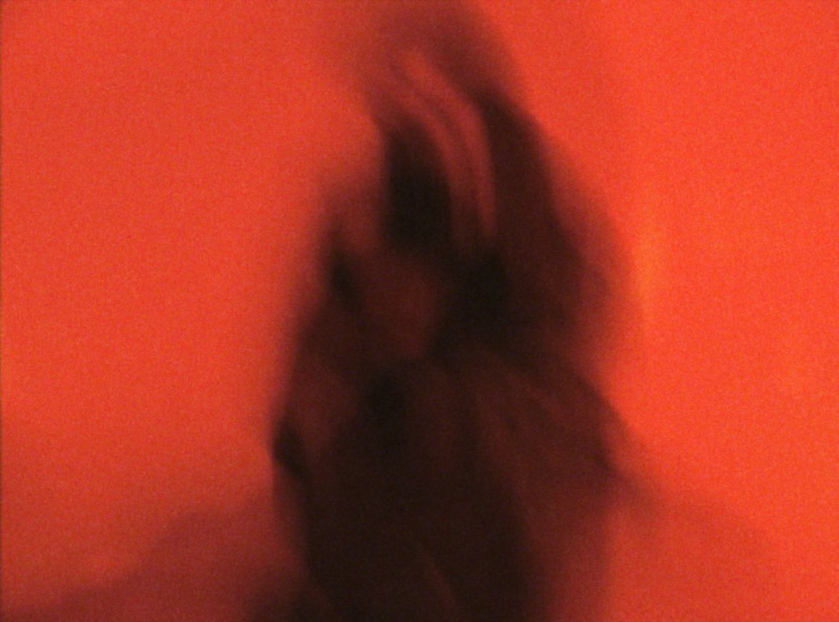 𝕽 𝖄 𝕬 𝕹 tweet media