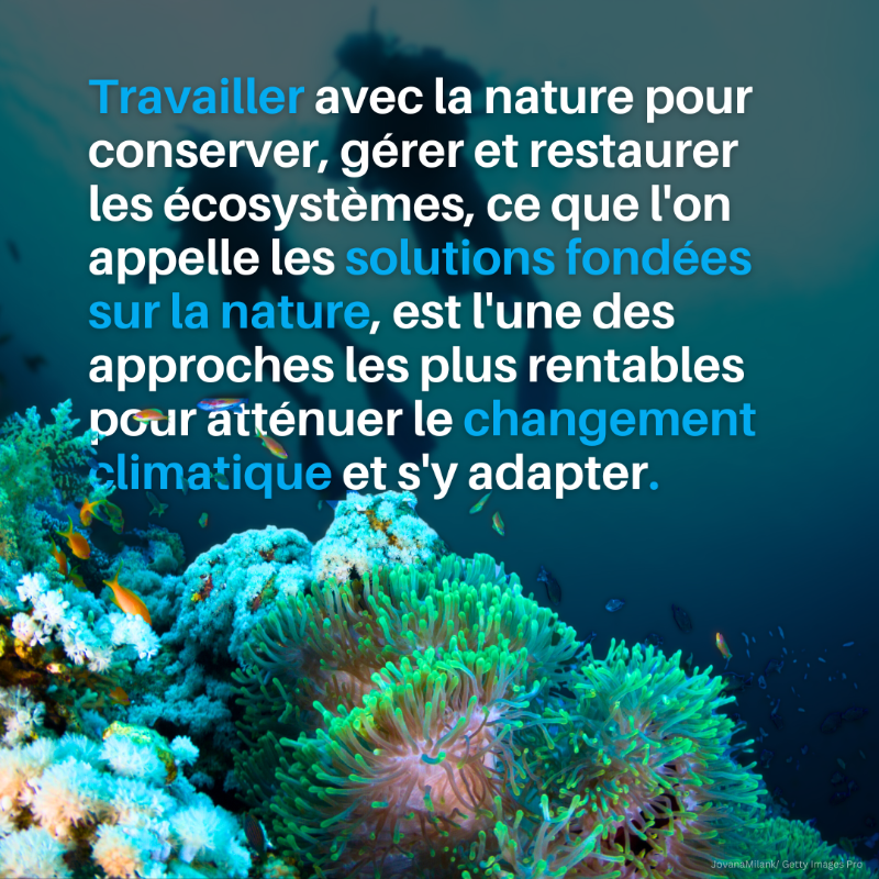 UNEP_Francais's tweet photo. Le changement climatique et la perte de biodiversité sont deux crises liées auxquelles il convient de s'attaquer en même temps.
La conservation, la gestion et la restauration des écosystèmes sont la clé du succès #PourLaNature.