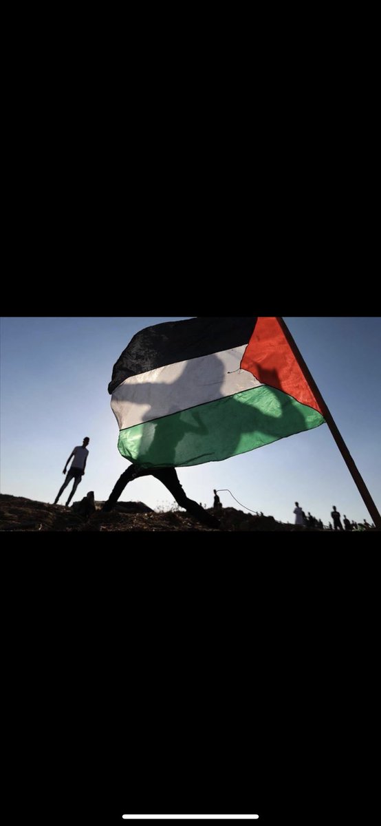 arsdu13's tweet photo. Free palestine https://t.co/LaPEjC0xT0