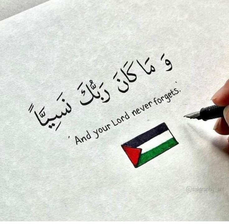 MakdadZineb's tweet photo. WE STAND WITH PALESTINE ❤️💚🖤#Palestine #Gaza #فلسطين https://t.co/jDYsP7LvIu