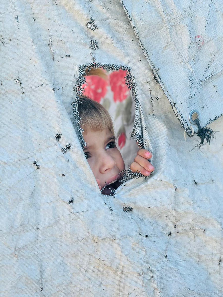 FGRForg's tweet photo. We have not forgotten! Dated: 6th & 7th October 2023 Distribution of Flour (آٹا) among 🇸🇾 Syrian Earthquake refugees near Turkish Border. #FGRF #HelpwithFGRF https://t.co/CwgzYGBS1l