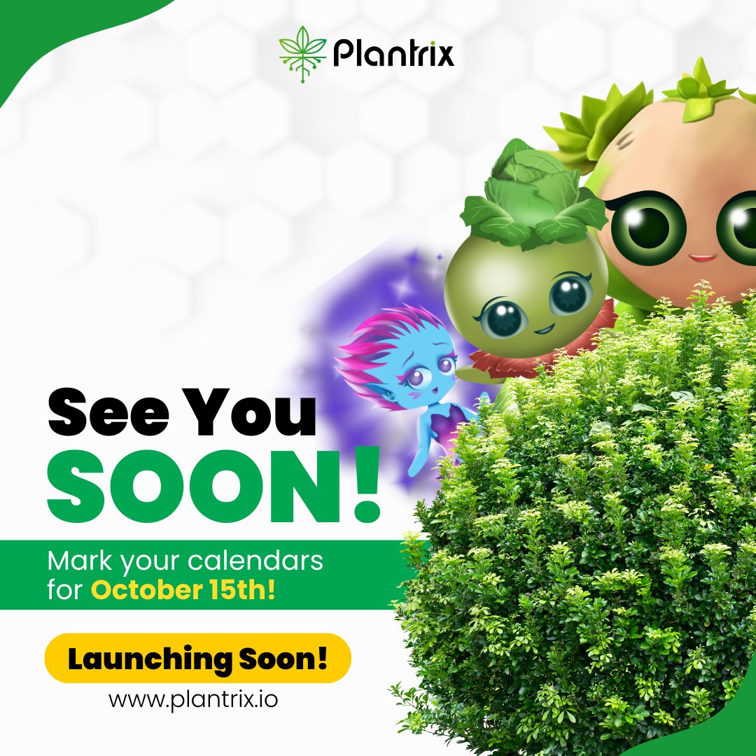 Plantrix_io's tweet photo. The wait is almost over! 📷📷 Plantrix is gearing up for launch, bringing you an innovative farm-to-wallet experience like never before. Stay tuned as we revolutionize sustainable earning. It's almost here! 📷📷 Mark you calendars for October 15th! 📷
Visit us at https://t.co/0mcUOKAmeG 📷
#PlantrixLaunch #SustainableEarning #CountdownToSuccess