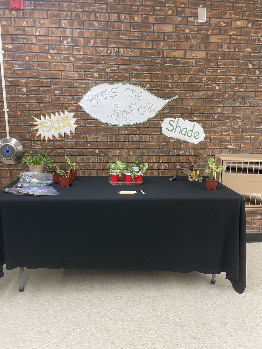 October 5, 2023 was an exciting day at Madoc Drive. Our superintendent, <a href="/msmasood25/">Ozma Masood</a> and our Trustee, <a href="/davidgreen91/">David Green</a> joined us for the Tree Plating Ceremony and then we greeted our families at our Open House.