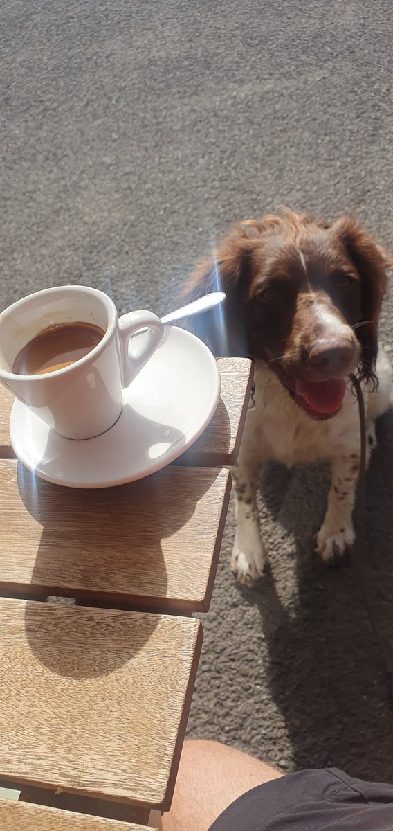 SearchDogOppo's tweet image. Apparently it's not for #spannas, the chauffeur says we're #decaff only. #espresso @CafeBumblebee.
