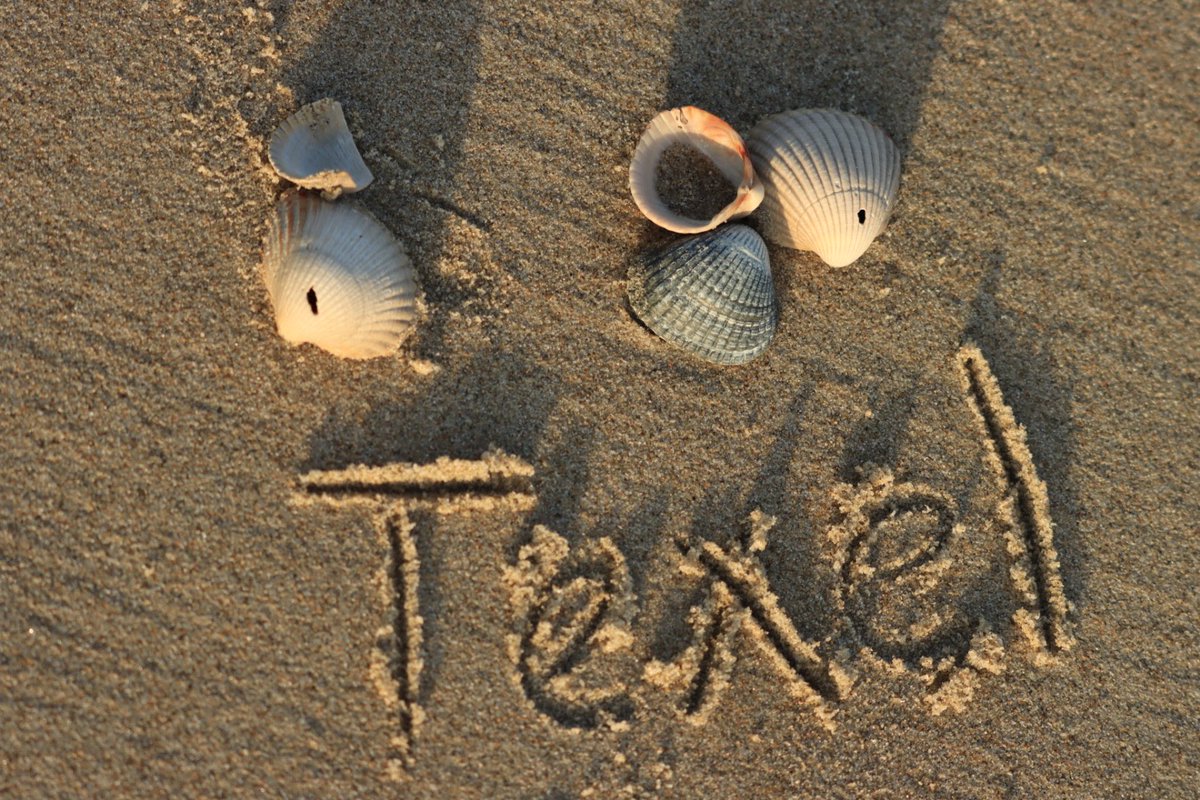 ChristaKlaassen's tweet image. Dag 7/31
Het thema van vandaag is #namen
#fot_O_ktober @jolandabrwr