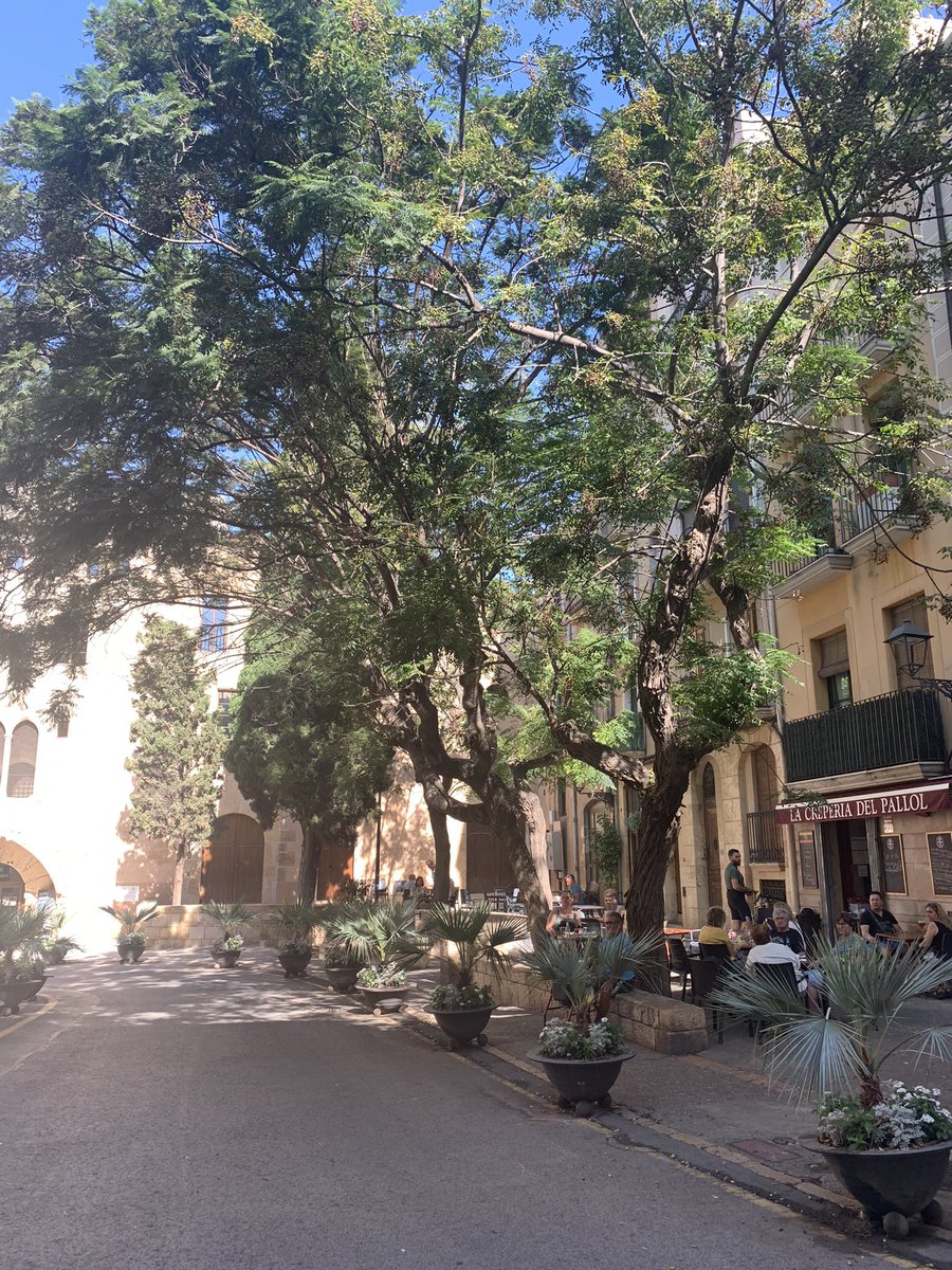 Arrived in Tarragona