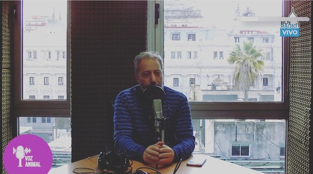Programa miercoles 4/10👇🏽
Charlamos sobre el caso del perro atropellado del cual su agreso ofrecio su "seguro del auto" para pagar los gastos de la victima.
Escuchalo! bcnradio.com.ar/podcast/voz-an…