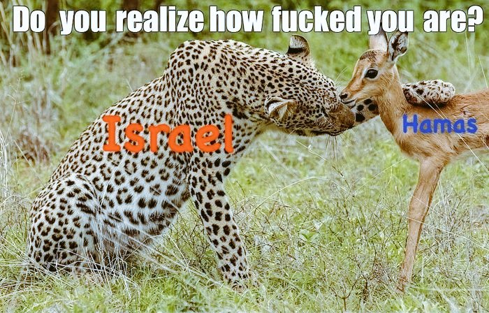 Hamas didn't think twice i guess. #Israel #Palestine