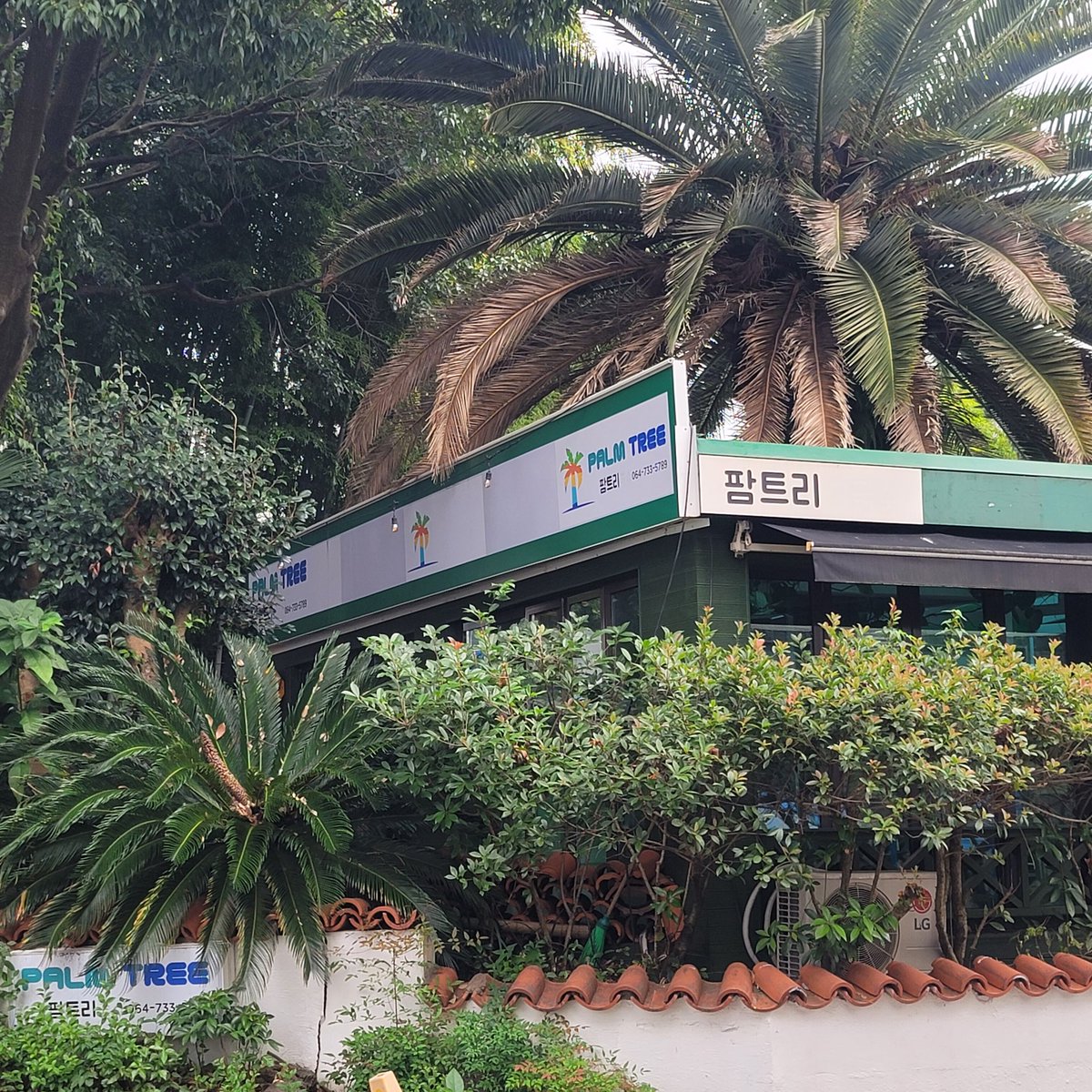 제주 팜트리 후후