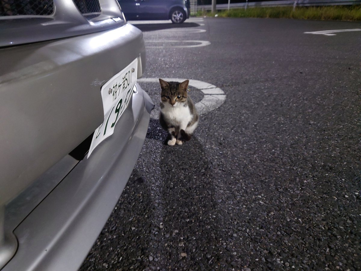 REtkhs_MuvLuv00's tweet photo. おそろしいけもの https://t.co/MmT0QFyGr2