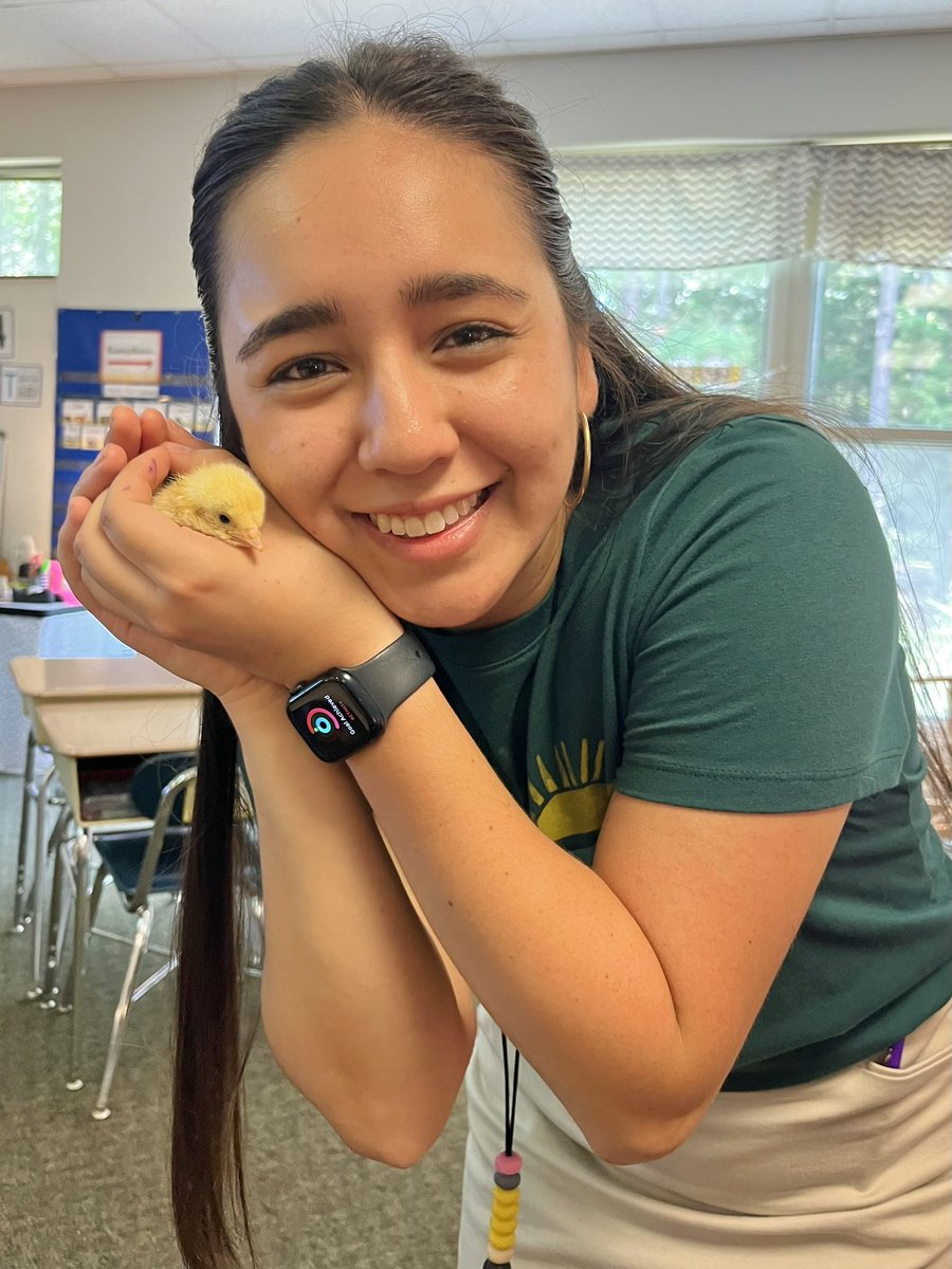 Catherine Dean tweet media