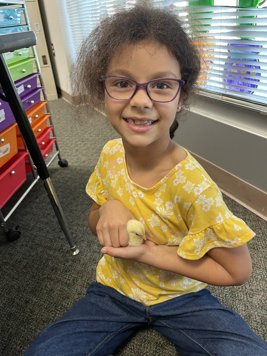 Catherine Dean tweet media