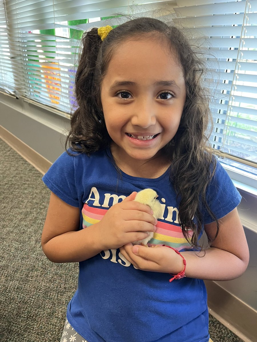 Catherine Dean tweet media