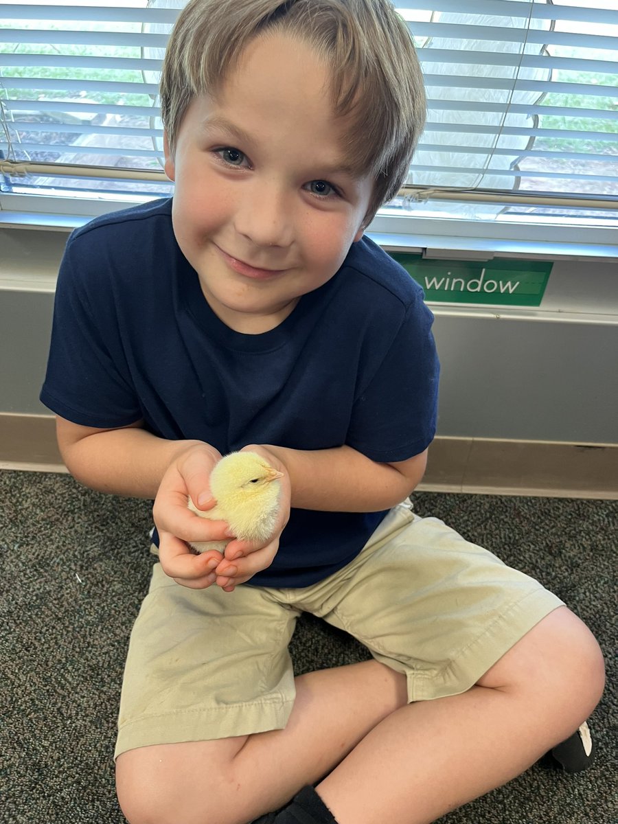 Catherine Dean tweet media