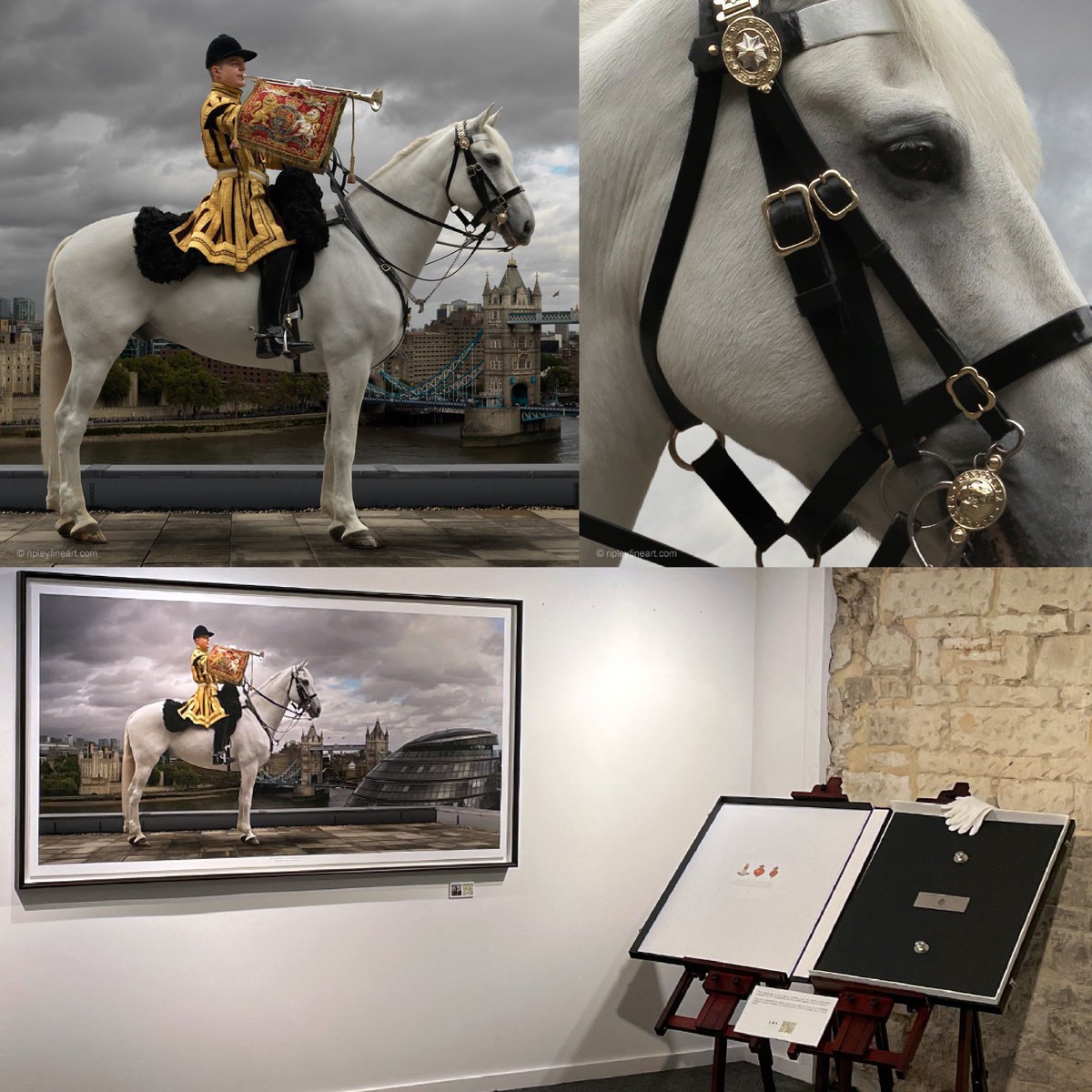 Ripley's exhibition at the NHRM has been extended for a third time, and now runs until 17th November 2023. If you haven't already, you must visit The Household Cavalry Mounted Regiment: The Coronation Year Exhibition! Included in cost of general museum admission. 🎟️