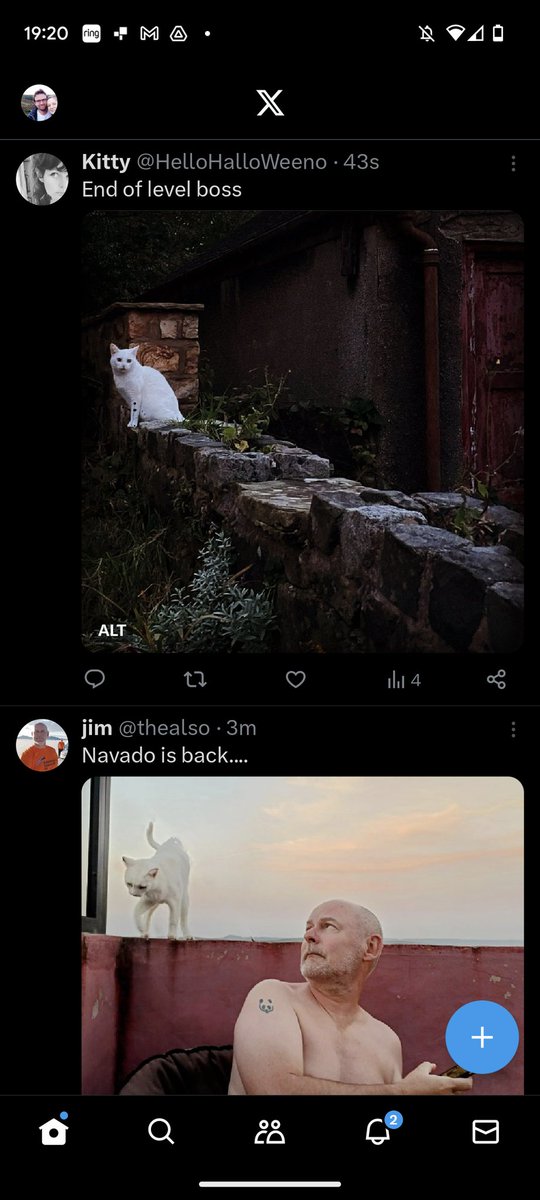 John Goodhand tweet media