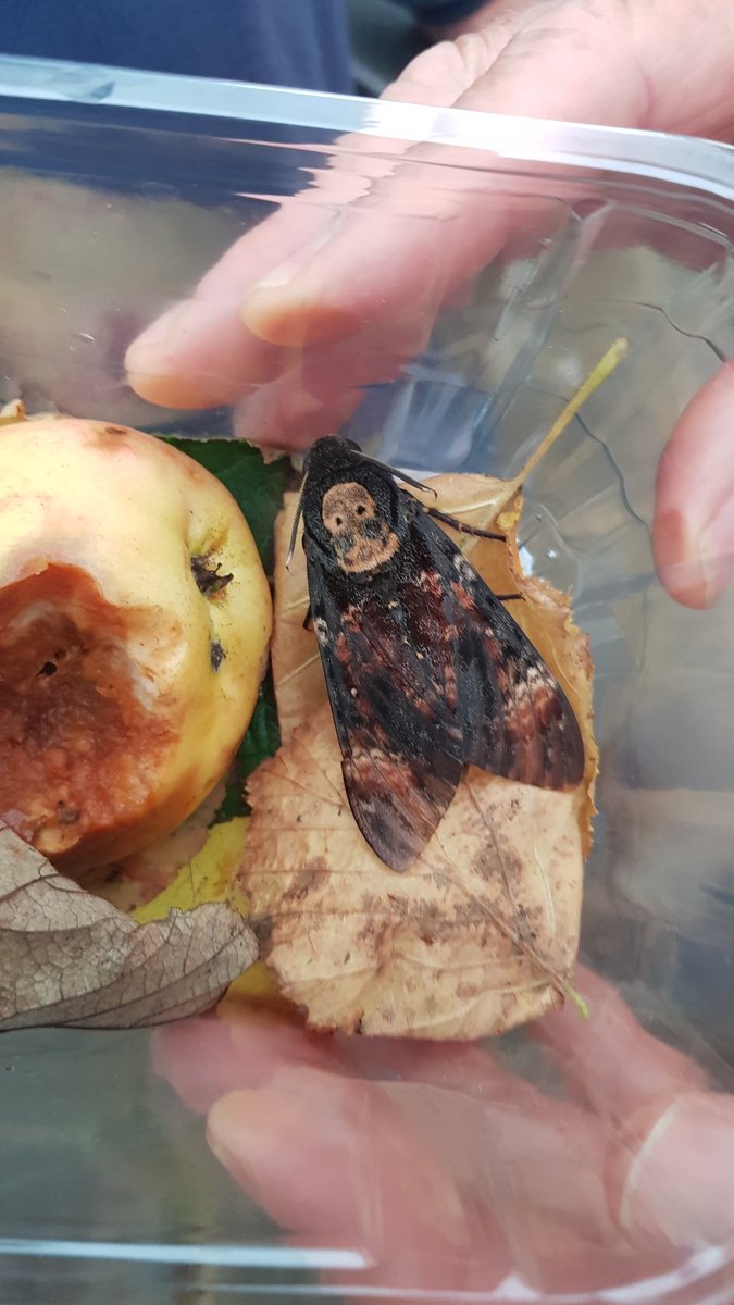 Anthony McCluskey tweet media